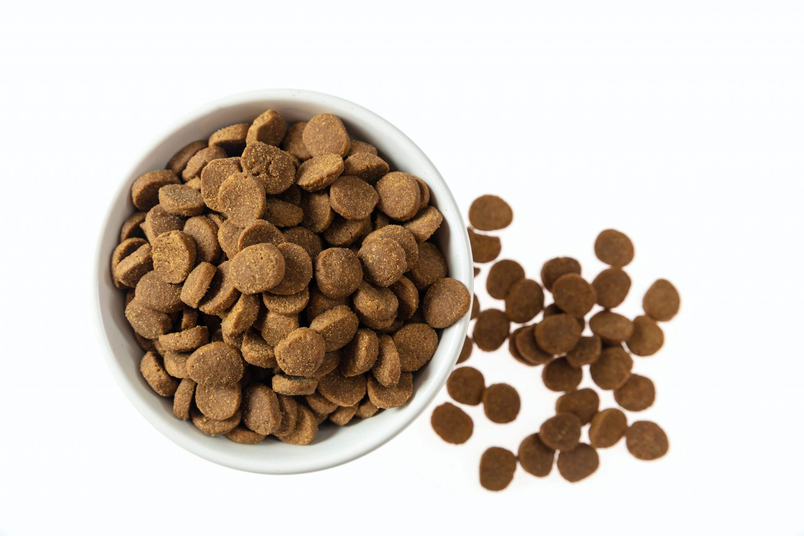 http://pugedon.com.tr/wp-content/uploads/2020/02/dogs-or-cats-dry-food-in-a-white-bowl-isolated-on-PK4J3H5-scaled.jpg