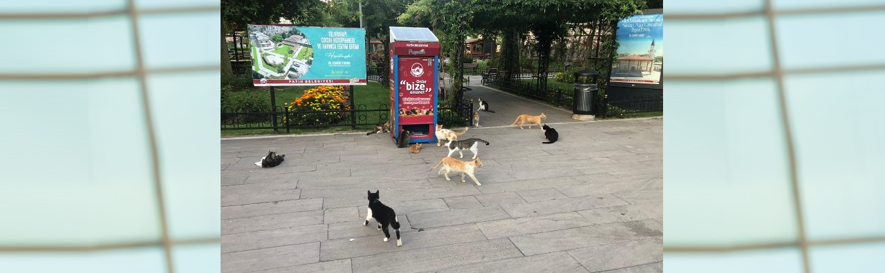 https://pugedon.com.tr/wp-content/uploads/2024/09/Fatih.png